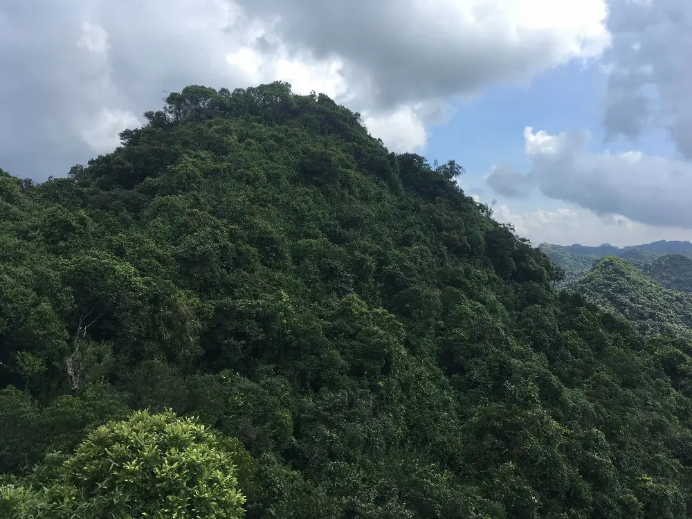 Walking Exploration around Cat Ba National Park