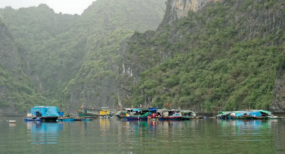 Landscape and Setting of Cat Ba Island