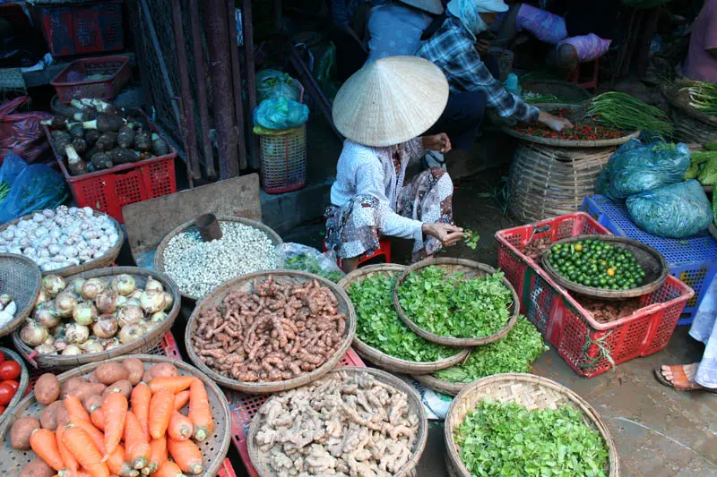Walking Exploration around Hoi An Market