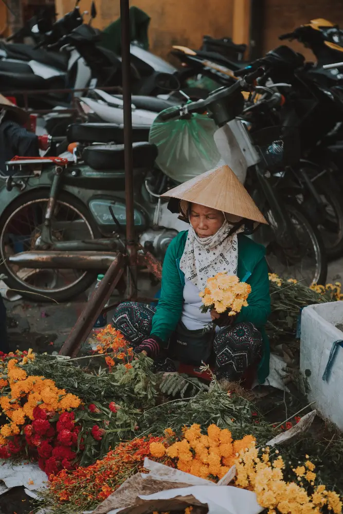 Walking Exploration around Hoi An Market