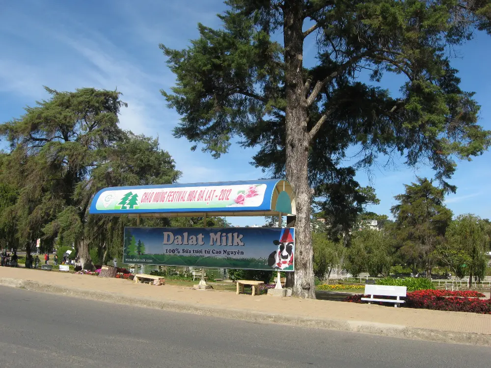 In-Depth Observation Route at Xuan Huong Lake in Da Lat