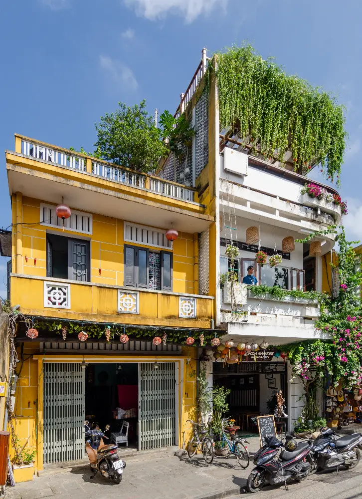 Landscape and Setting of Hoi An Ancient Town