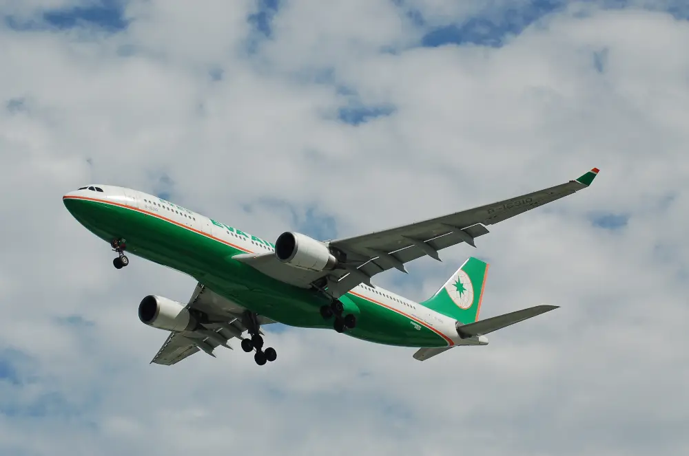 International Flight at Tan Son Nhat - Sedan Meet-and-Greet