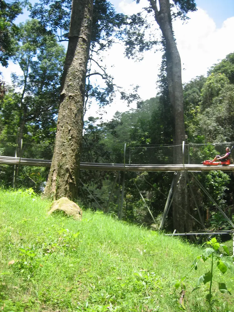Datanla Waterfall in Da Lat Overview Tour