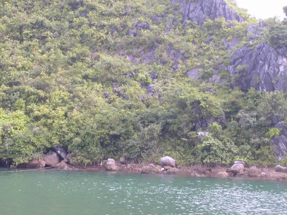 In-Depth Observation Route at Ha Long Bay