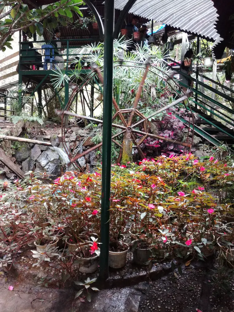 Local Stories at Datanla Waterfall in Da Lat