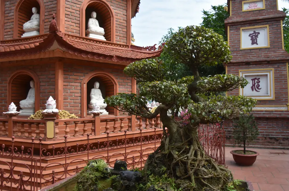 Heritage and Conservation at Tran Quoc Pagoda in Hanoi