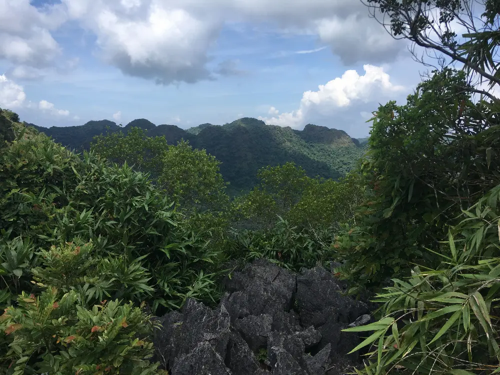 Walking Exploration around Cat Ba National Park