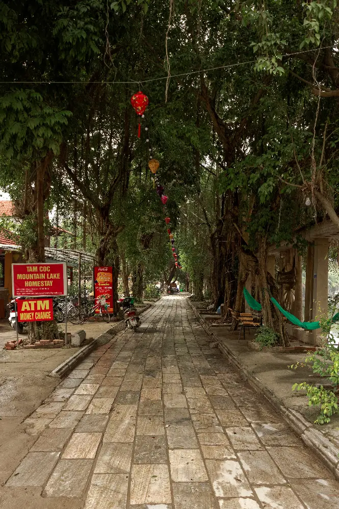 Landscape and Setting of Tam Coc in Ninh Binh