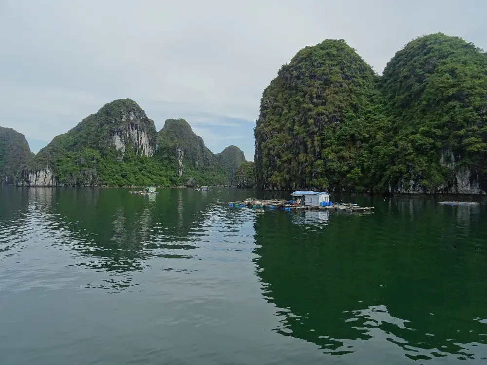 Walking Exploration around Lan Ha Bay in Cat Ba