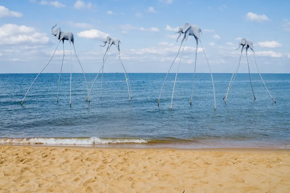 Local Stories at Phu Quoc Beach