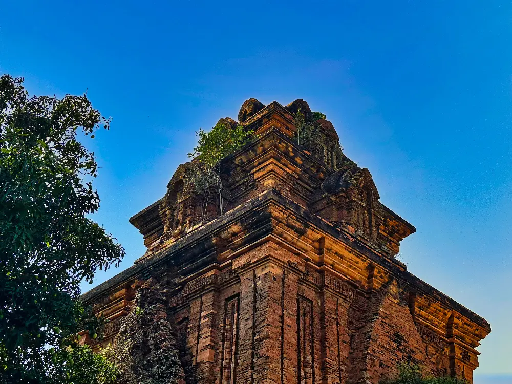 Landscape and Setting of Binh Dinh Cham Towers in Quy Nhon