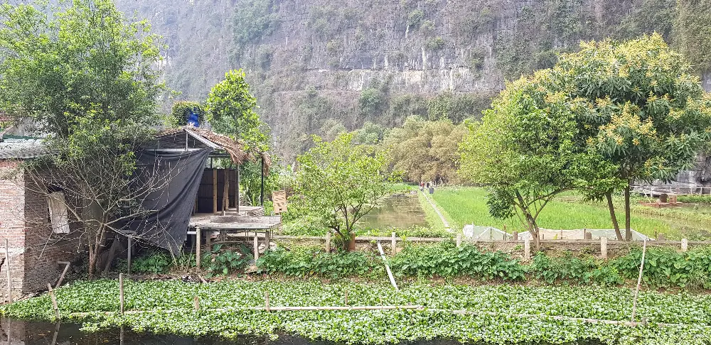 Heritage and Conservation at Tam Coc in Ninh Binh