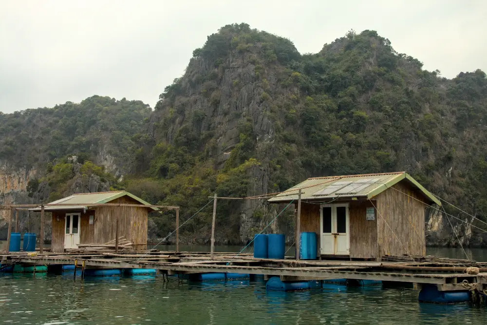 Landscape and Setting of Bai Tu Long Bay in Ha Long