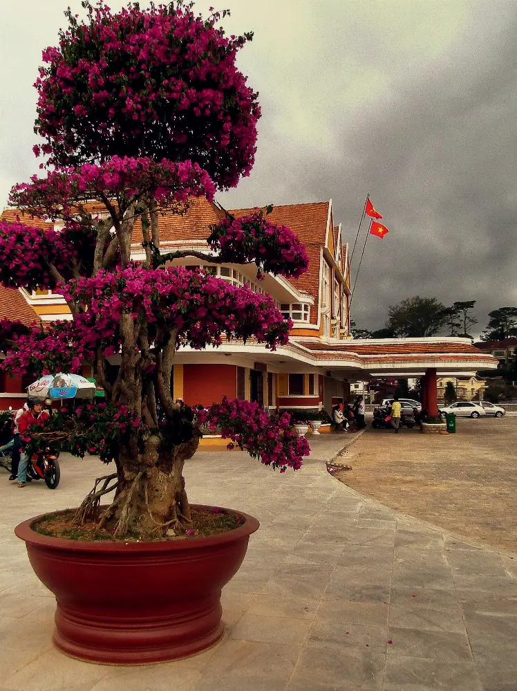 Lesser-Seen Perspectives of Da Lat Railway Station