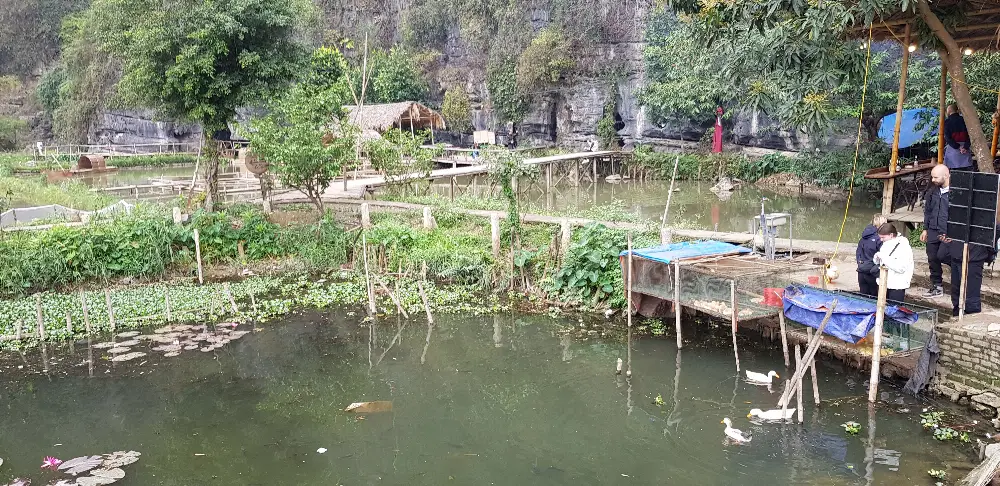 Local Stories at Tam Coc in Ninh Binh