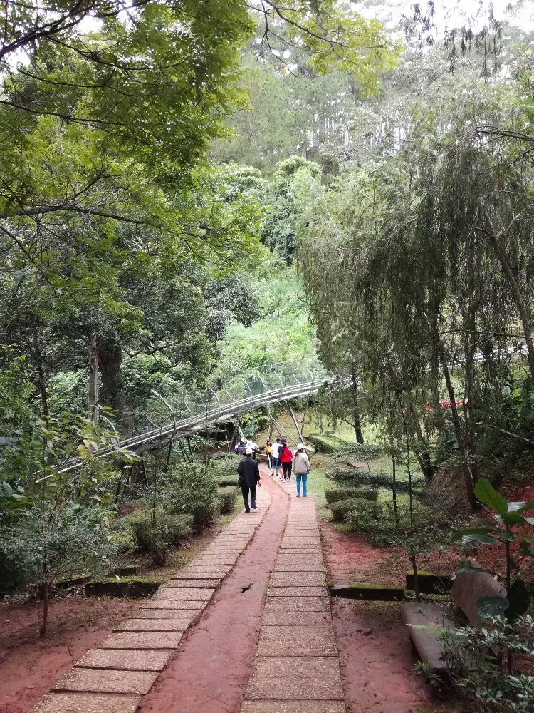 Heritage and Conservation at Datanla Waterfall in Da Lat