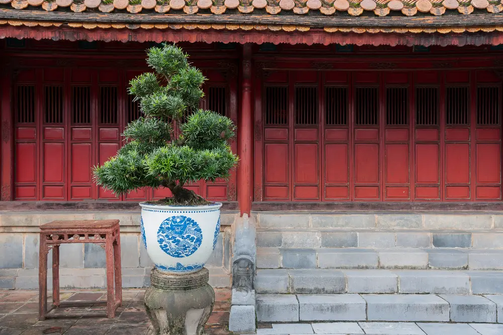 Walking Exploration around Minh Mang Tomb in Hue