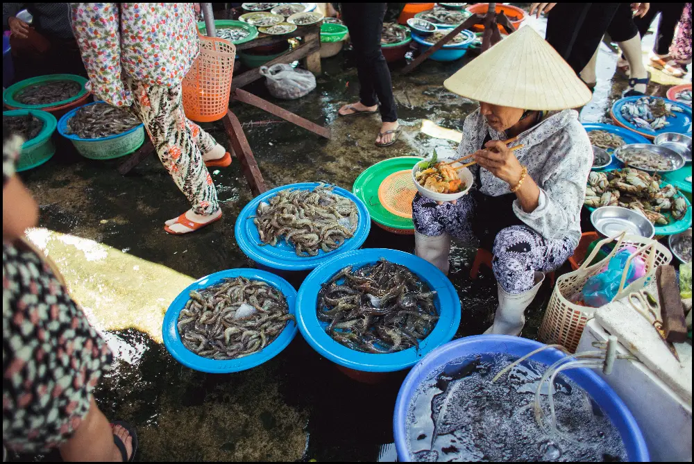 Photography Route at Hoi An Market