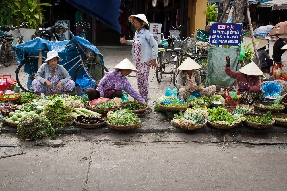 Walking Exploration around Hoi An Market