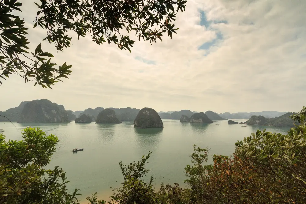 In-Depth Observation Route at Ha Long Bay Cruise