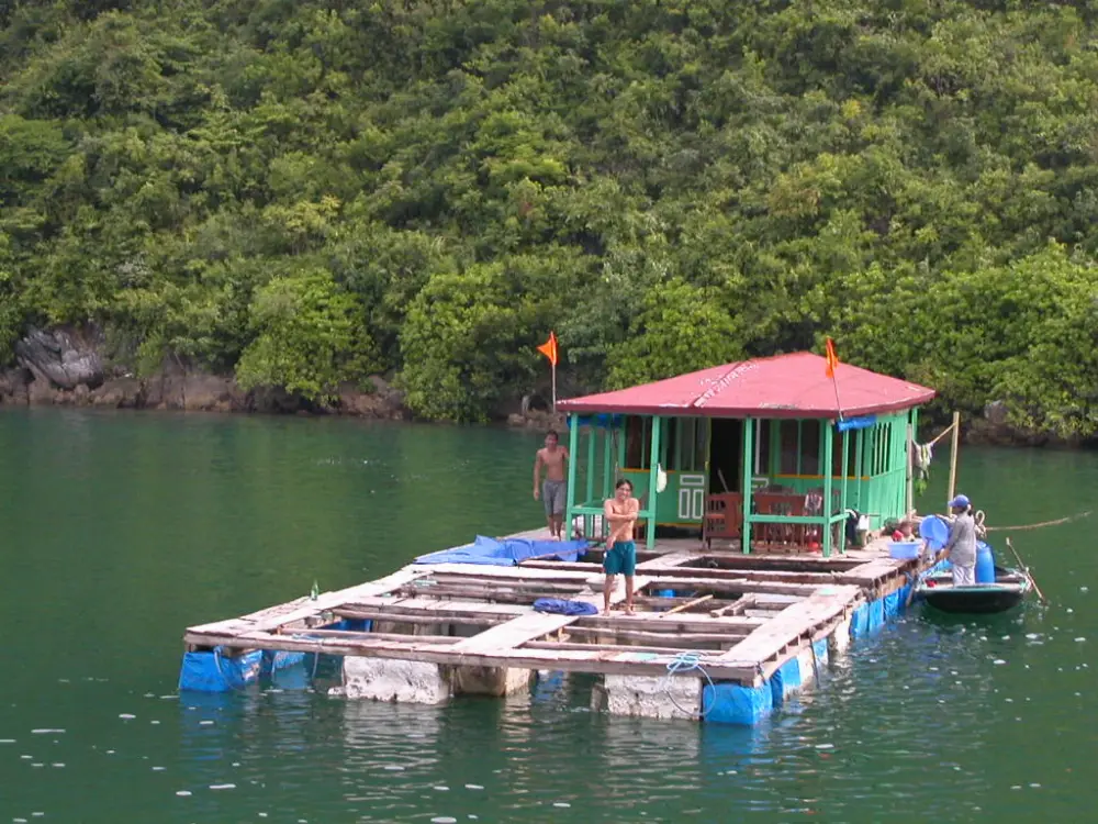 Heritage and Conservation at Ha Long Bay