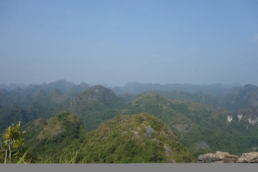Signature Details of Cat Ba Island