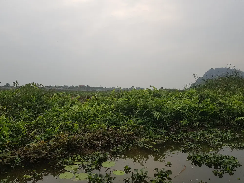 Heritage and Conservation at Van Long Nature Reserve in Ninh Binh