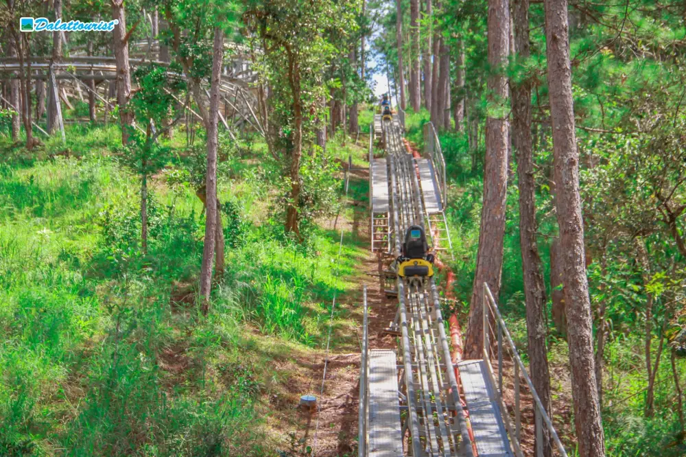 Datanla New Alpine Coaster Experience in Da Lat