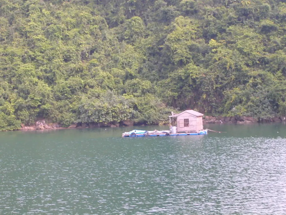 Heritage and Conservation at Ha Long Bay