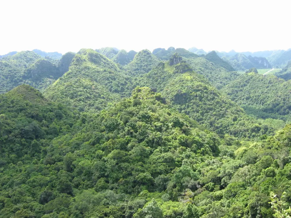 Tour toàn cảnh Vườn quốc gia Cát Bà