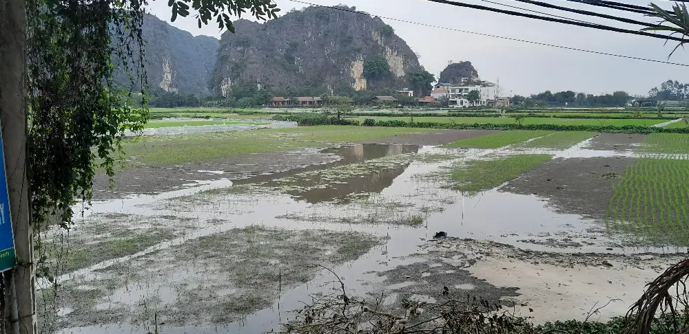 Local Stories at Van Long Nature Reserve in Ninh Binh
