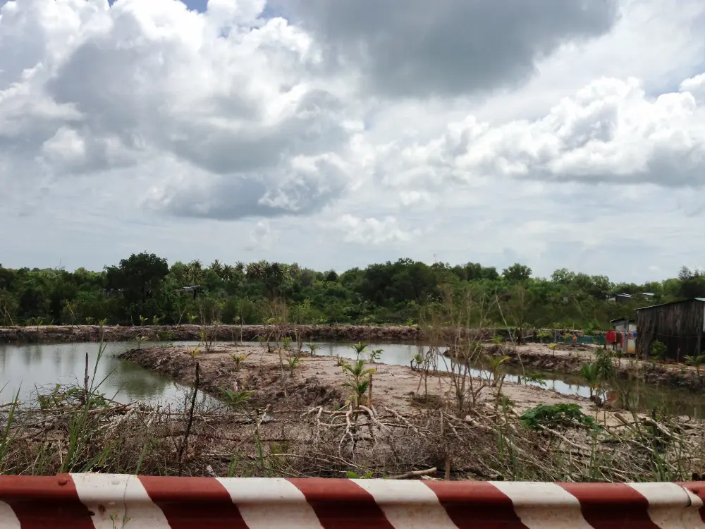 Historical Trail through Ham Ninh Fishing Village in Phu Quoc