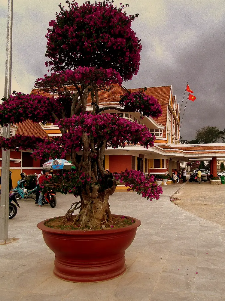 Lesser-Seen Perspectives of Da Lat Railway Station