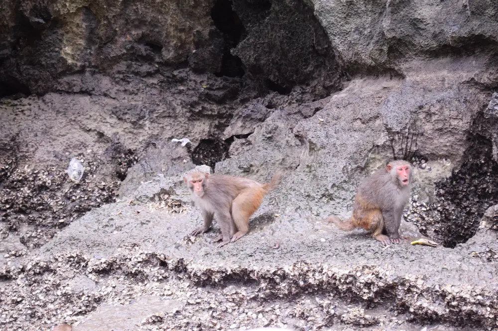 Local Stories at Luon Cave in Ha Long