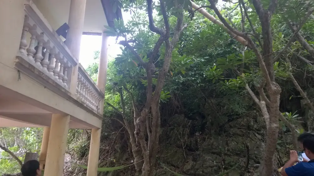 Cat Ba National Park Overview Tour