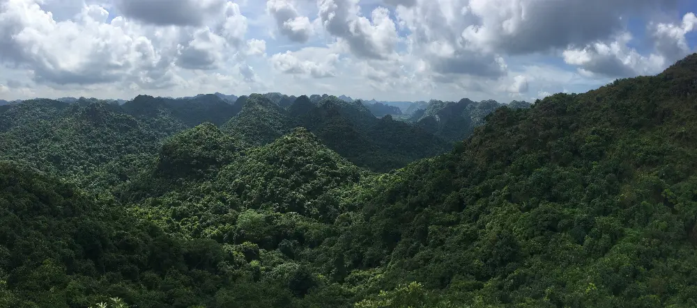 Historical Trail through Cat Ba National Park