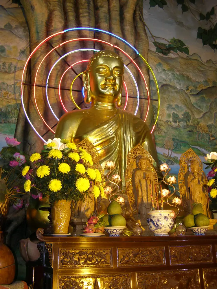 Landscape and Setting of Linh Phuoc Pagoda in Da Lat