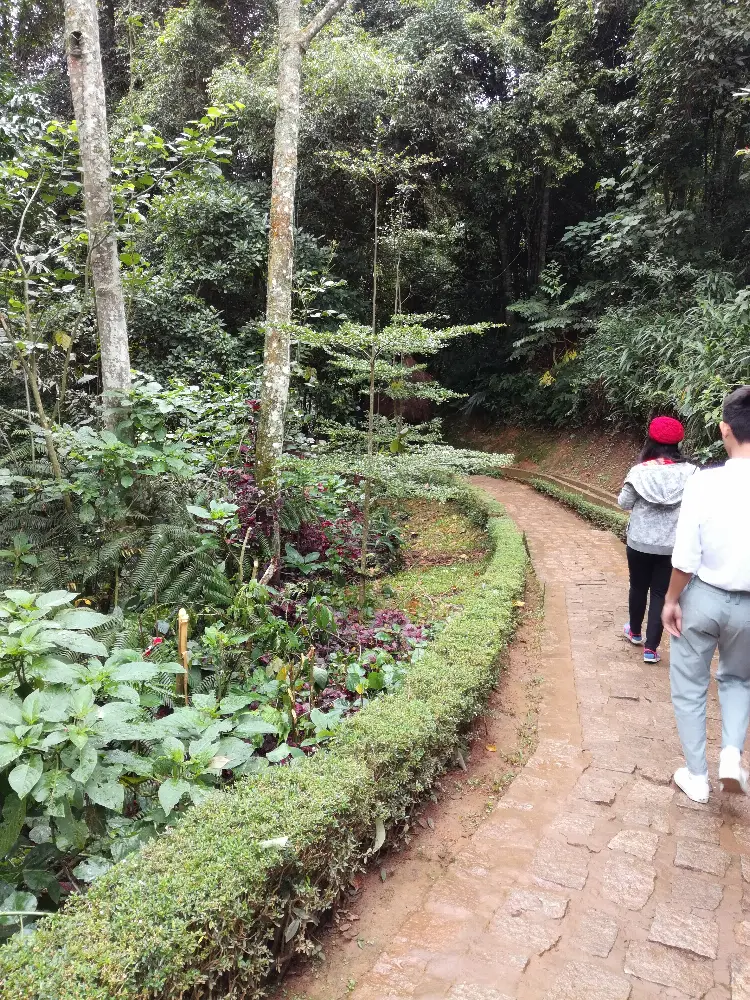 Local Stories at Datanla Waterfall in Da Lat