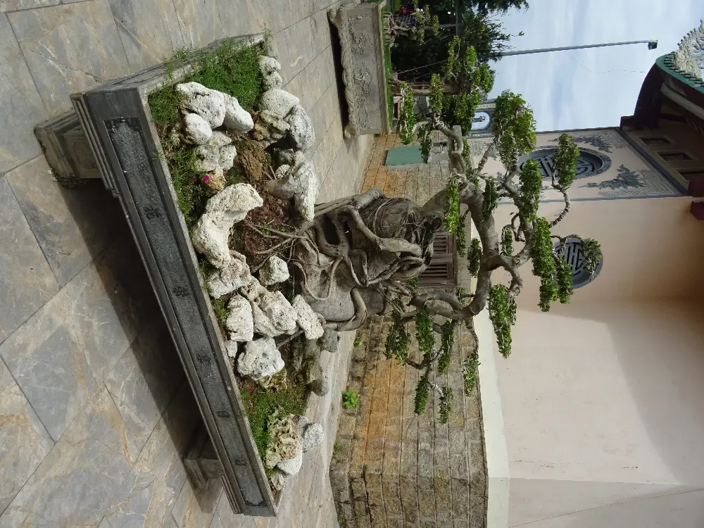 Di sản và bảo tồn tại Bán đảo Sơn Trà tại Đà Nẵng