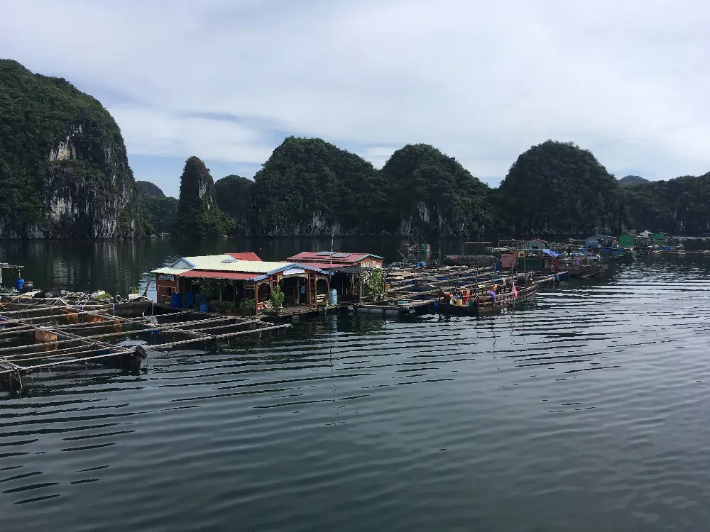 Walking Exploration around Lan Ha Bay in Cat Ba
