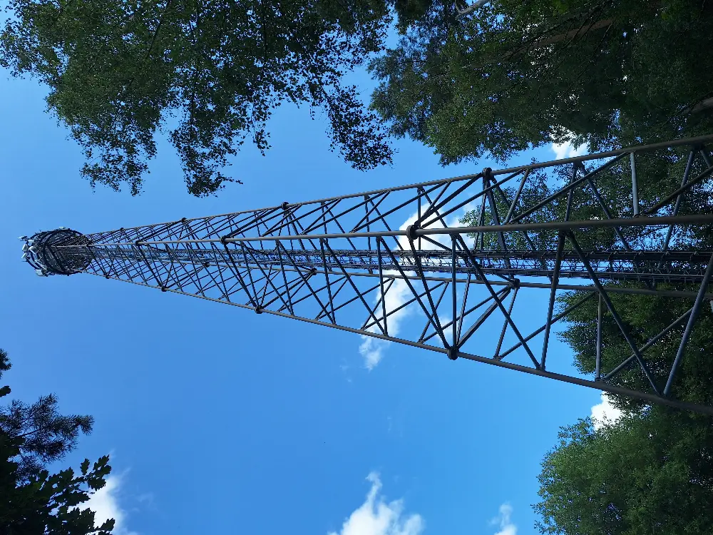Mobile Network Infrastructure - 30-Day Unlimited Plan