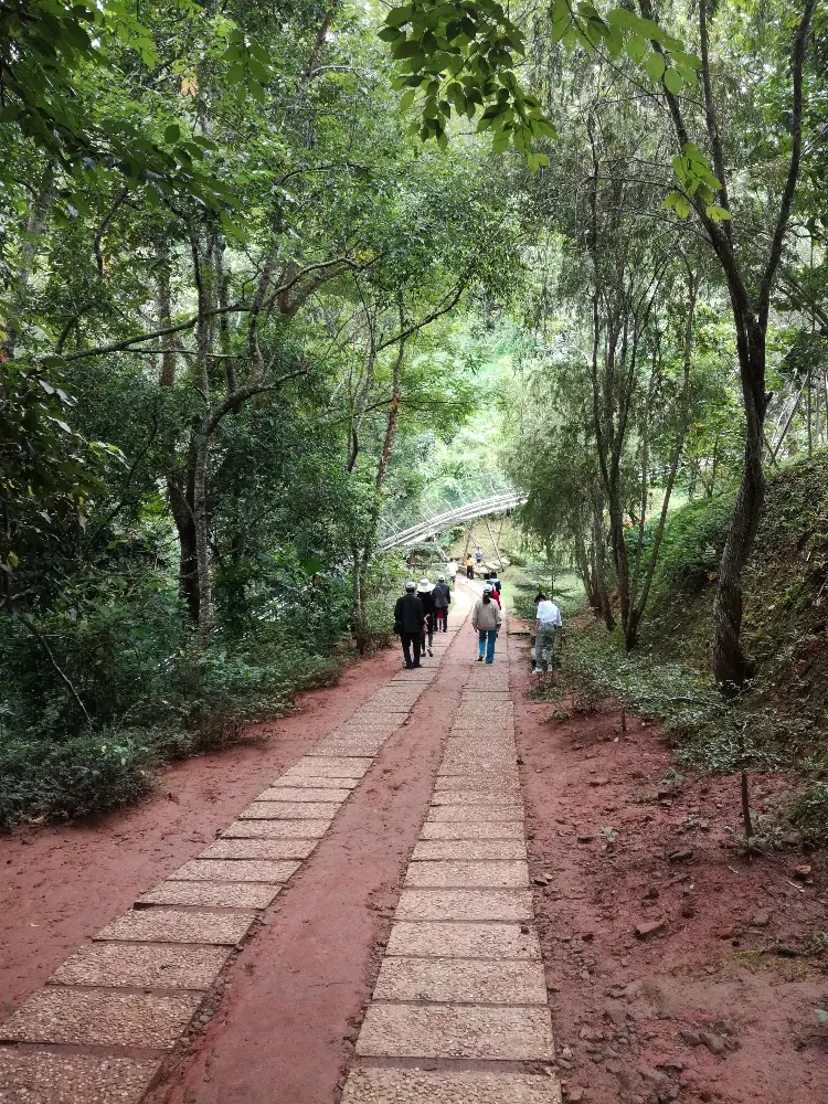 Local Stories at Datanla Waterfall in Da Lat