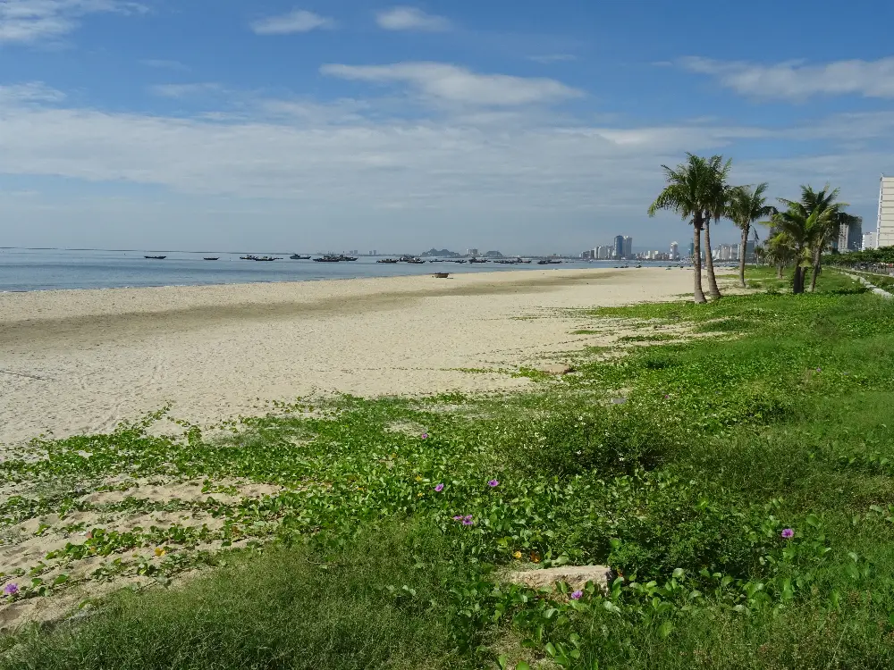 Đi bộ khám phá quanh Bãi biển Mỹ Khê tại Đà Nẵng