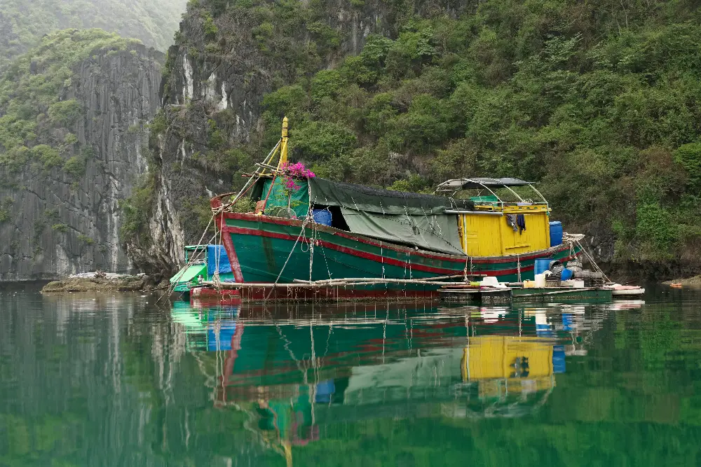 Local Stories at Cat Ba Island